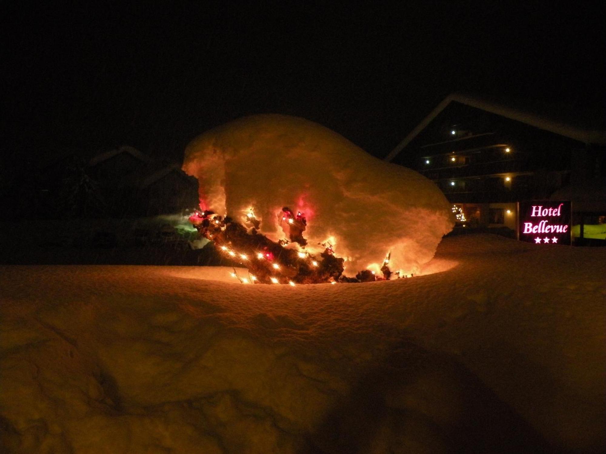 Hotel Bellevue Champoluc Zewnętrze zdjęcie